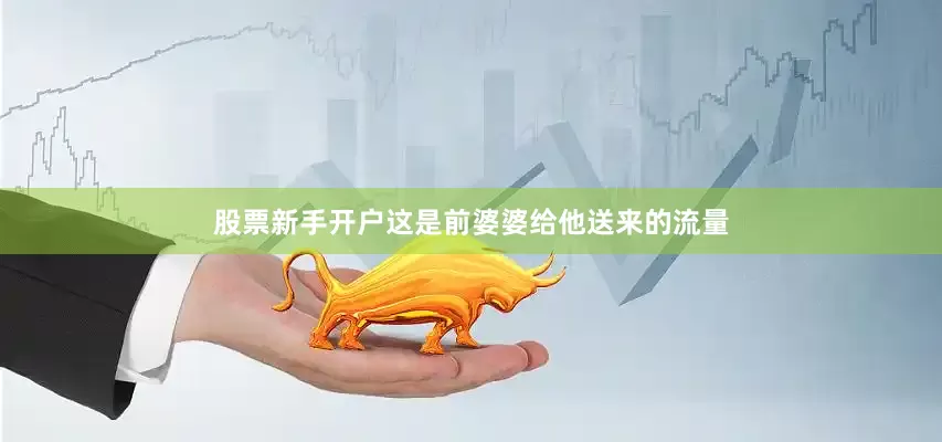 股票新手开户这是前婆婆给他送来的流量
