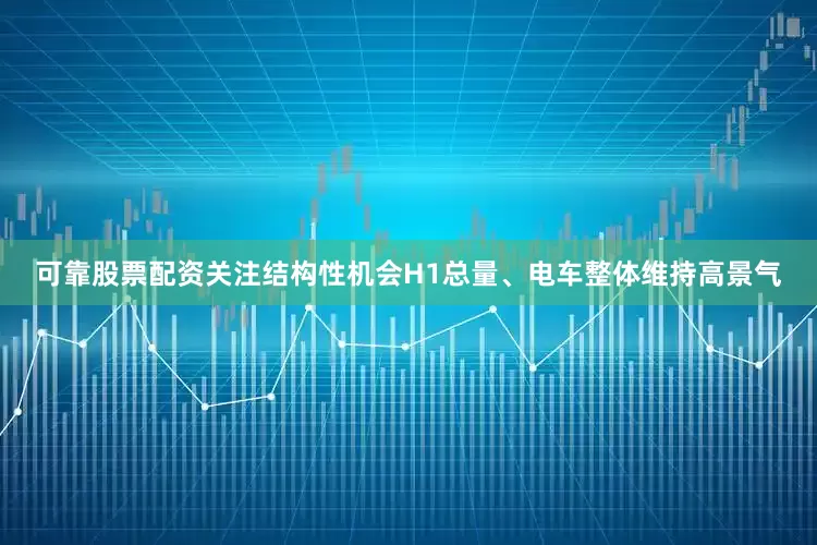 可靠股票配资关注结构性机会H1总量、电车整体维持高景气