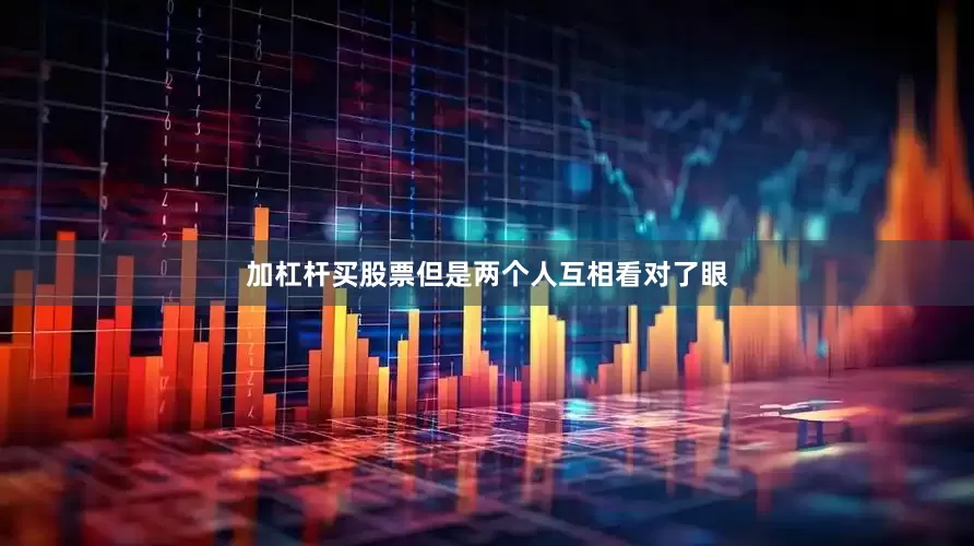 加杠杆买股票但是两个人互相看对了眼