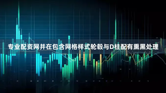 专业配资网并在包含网格样式轮毂与D柱配有熏黑处理