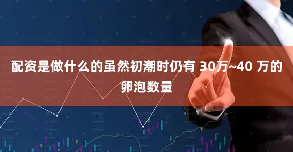 配资是做什么的虽然初潮时仍有 30万~40 万的卵泡数量