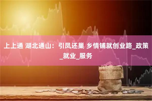 上上通 湖北通山:引凤还巢 乡情铺就创业路_政策_就业_服务