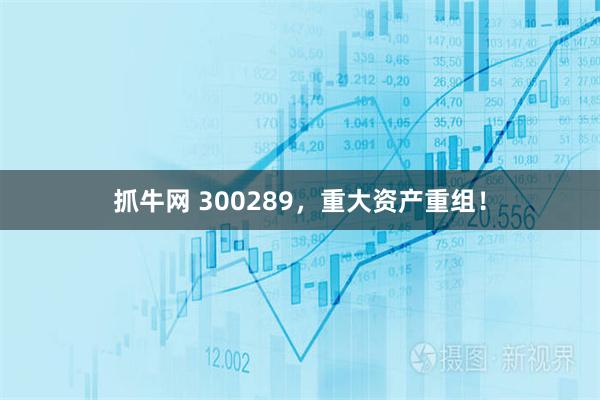 抓牛网 300289，重大资产重组！